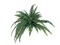 6-Pack: Boston Fern Plant with 48 Silk Fronds, 48" Wide, Faux Greenery, Floral Home by Artificial Flowers